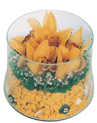 Ankara iekilik grsel iek modeli firmamzdan vazo ierisinde 5 adet kandil orkide