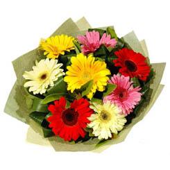 Ankara Keçiören Çiçekçi firma ürünümüz Karışık renkte gerbera çiçekleri